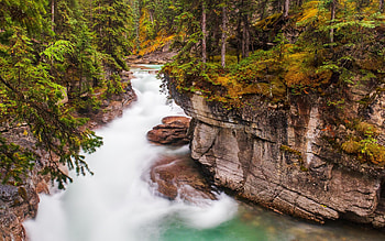 Dreamy hidden river in Alberta, trees, rocks, forest, canada, cascades HD wallpaper