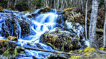 Big Hill Springs Provincial Park, Alberta, canada, river, falls, cascades, trees, forest HD wallpaper