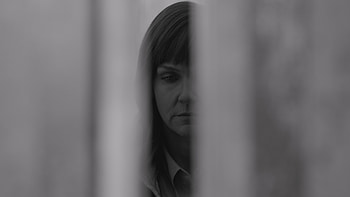 Better Call Saul - Seson 6 HD wallpaper