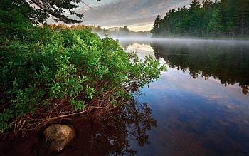 Nature, Rivers, Trees, Reflection HD wallpaper