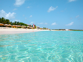 Beach, Nature, Sea, Sand, Palms, Tropics HD wallpaper