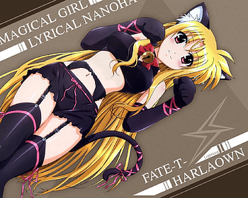 catgirl, girl, anime HD wallpaper