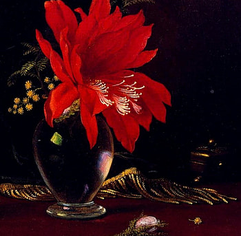 Red Flower in a Vase, e, s, red v, a HD wallpaper