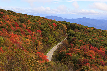 Fall foliage in Tennessee, que places, Seasonal beauty, Colorful landscapes HD wallpaper