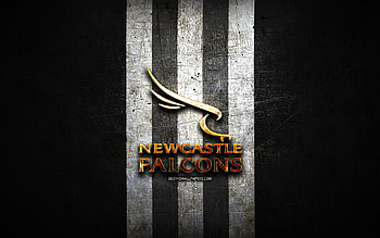 Newcastle Falcons, golden logo, Premiership Rugby, black metal background, english rugby club, Newcastle Falcons logo, rugby HD wallpaper