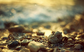 Water, Stones, Sea, Shore, Bank, Macro HD wallpaper