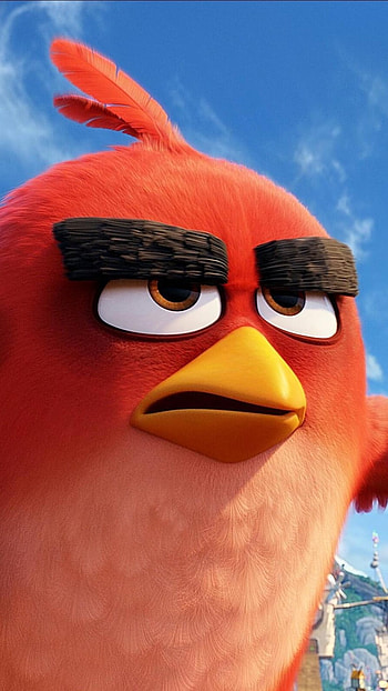 Angry Birds, Red Bird, Cartoon HD phone wallpaper