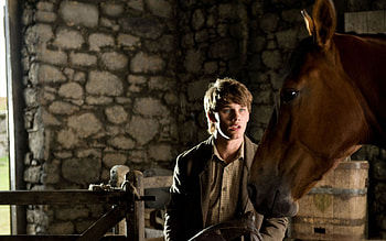 War Horse, Captivating posters, Jeremy Irvine, Visual masterpiece HD wallpaper