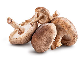 Shiitake mushroom, 8 oz, Walnut creek farm, Shiitake HD wallpaper