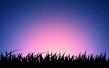 Vector, Grass, Sky, Shine, Light, Colourful, Colorful HD wallpaper