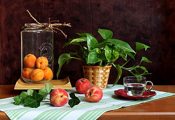 Apricots and peaches - plant - still life, graphy, tea, pot plant, cup, leaves, pretty, jar, oranges, abstract, green, glass, peaches, cloth, saucer HD wallpaper