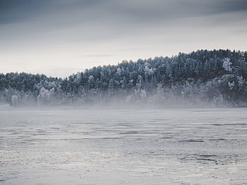 Serene winter landscape of a misty lake surrounded by frosted trees under an overcast sky. HD wallpaper