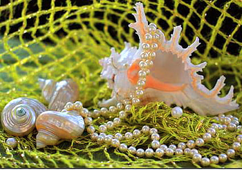 Ocean treasures, net, shells, green, pearls, ocean HD wallpaper