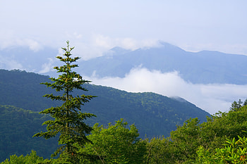Great Smoky Mountains, National Park, Eastern beauty, Nature's wonder HD wallpaper
