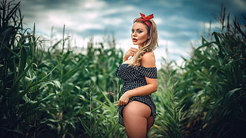 Cornfield Work, cowgirls, ranch, cornfield, blondes HD wallpaper