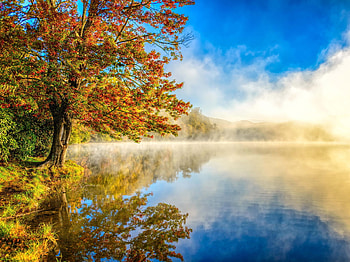 Trees, , Tree, Fall, Lake, Reflection HD wallpaper