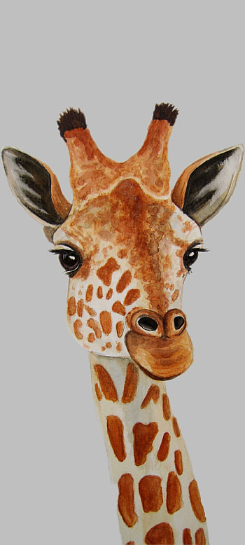 Fondo jirafa, head, human_body HD phone wallpaper