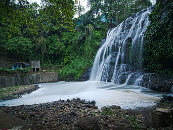 waterfalls, river, water, forest HD wallpaper