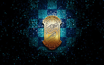Forward Madison FC, glitter logo, USL League One, blue checkered background, soccer, american football club, Forward Madison logo, mosaic art, football, Forward Madison HD wallpaper