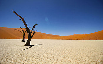 Namib Coastal Desert, Endless dunes, Coastal beauty, Nature's masterpiece HD wallpaper