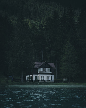 Nature, Rivers, Trees, Privacy, Seclusion, Forest, Small House, Lodge, Silence, Gloomy HD phone wallpaper