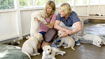 Marley and Me, Heartwarming tale, Mischievous dog, Unbreakable bond HD wallpaper