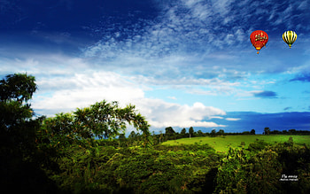 Fly away II, baloons, andrea andrade, field, green HD wallpaper