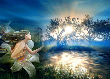Morning dew, FLOWER, GIRL, MORNING, DEW, SUNRISE HD wallpaper