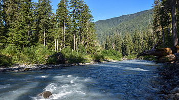 Hoh River, Olympic National Park, Washington, hills, trees, forest, water, usa, stones HD wallpaper