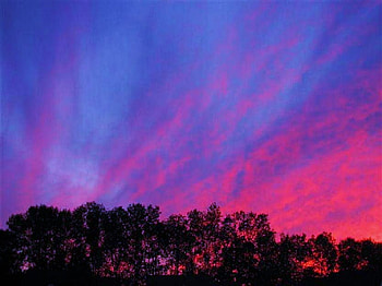 Canadian paint, blue, pink, trees, sky, canada evening HD wallpaper