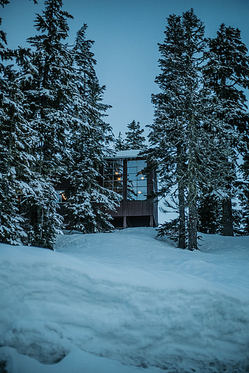 Winter, Nature, Trees, Snow, Forest, House HD phone wallpaper