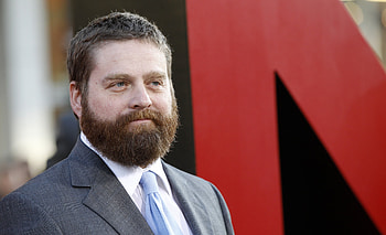 Zach Galifianakis, , Background HD wallpaper