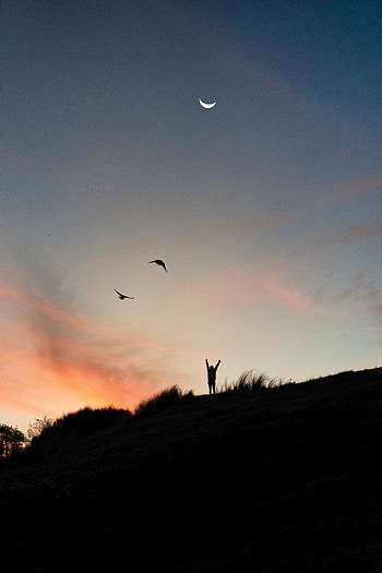 Sunset, Silhouette, Miscellanea, Miscellaneous, Month, dom HD phone wallpaper