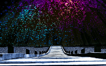 ... starry night ... HD wallpaper