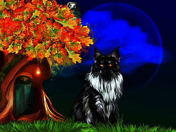 Blue Moon, autumn, cat, fantasy, moon HD wallpaper