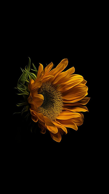 Sunflower yellow portrait , Beautiful art, Vibrant colors, Captivating beauty HD phone wallpaper