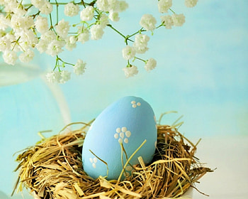 Easter eggs, egg, flowers, Easter, nest HD wallpaper