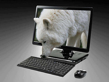 Popping In To Say Hi, dogs, laptop, wolf, animals HD wallpaper