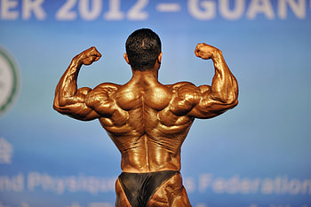 Posing, Bodybuilding HD wallpaper
