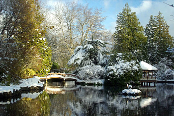 Winter in Park, snow, trees, gazebo, bridge, water, ice, pond HD wallpaper