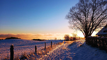 Lake Tollensesee, Germany, sunset, snow, winter, fence, landscape, sky, tree HD wallpaper