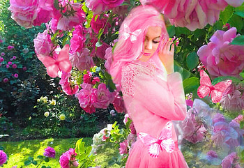 World Of Pink, colorful, white, vibrant, girl, purple, butterflies, pink, vivid, blossoms, green, bright, bold, flowers HD wallpaper
