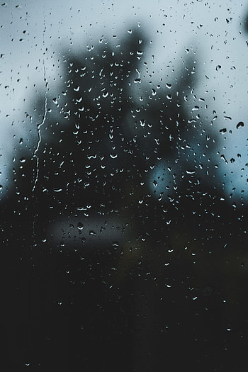 Rain, Drops, Macro, Glass HD phone wallpaper