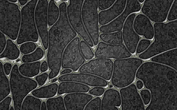 Texture, Lines, Textures, Surface, Ovals HD wallpaper
