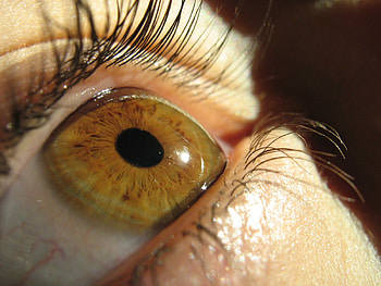 Close Up, eye HD wallpaper