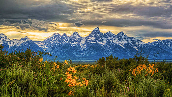 Grand Tetons, Wyoming, peaks, clouds, landscape, trees, flowers, sky, sunset, usa HD wallpaper