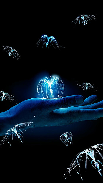 Avatar , Journey to Pandora, Land of wonders, Mystical beauty HD phone wallpaper