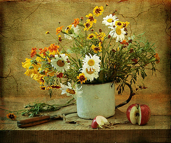 Artistry of colors, still life, table, apple, knife, flowers, slice, planter HD wallpaper