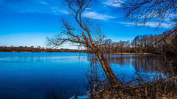 Lake, Water, Nature, Tree HD wallpaper