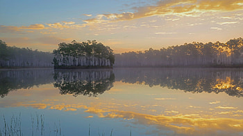 Everglades National Park, Long Pine Key, Tandem stills motion, Florida's beauty HD wallpaper